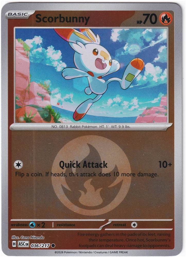 Scorbunny #36