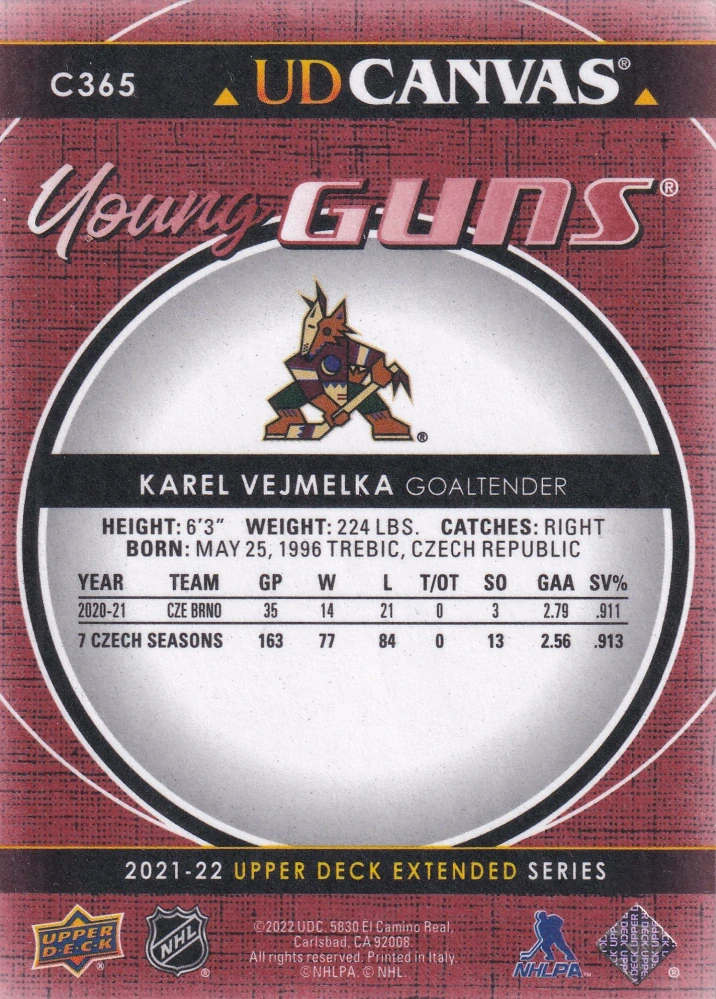 2021-22 UD Extended Series - Karel Vejmelka - Young Guns Canvas #C365