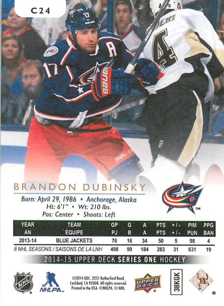 2014-15 UD Series 1 - Brandon Dubinsky - Canvas #C24