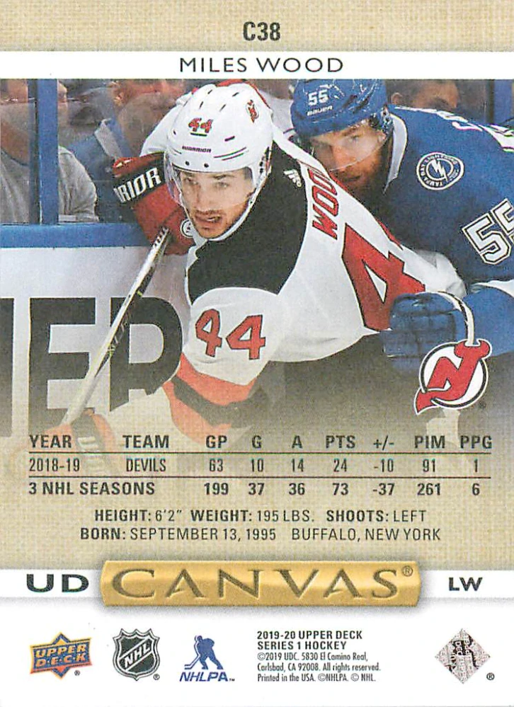 2019-20 UD Series 1 - Miles Wood - Canvas #C38