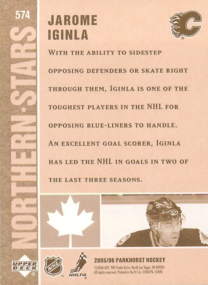 2005-06 UD Parkhurst - Jarome Iginla - Northern Stars #574
