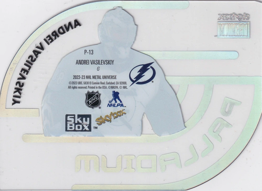 2022-23 UD Skybox Metal Universe - Andrei Vasilevskiy - Palladium #P-13