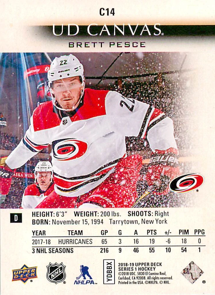2018-19 UD Series 1 - Brett Pesce - Canvas #C14