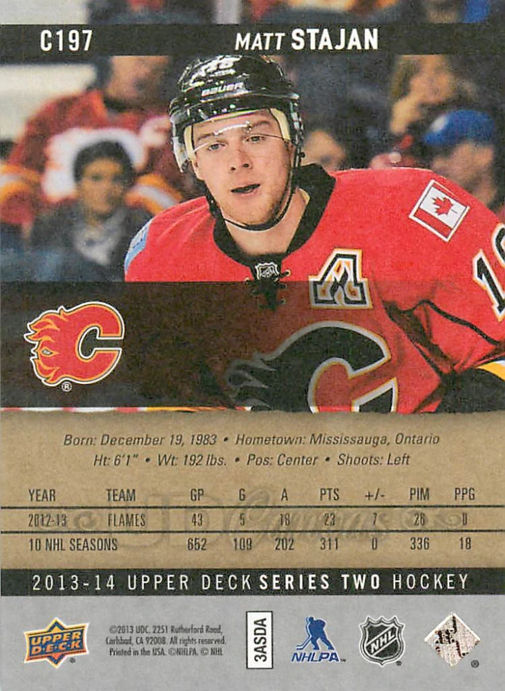 2013-14 UD Series 2 - Matt Stajan - Canvas #C197