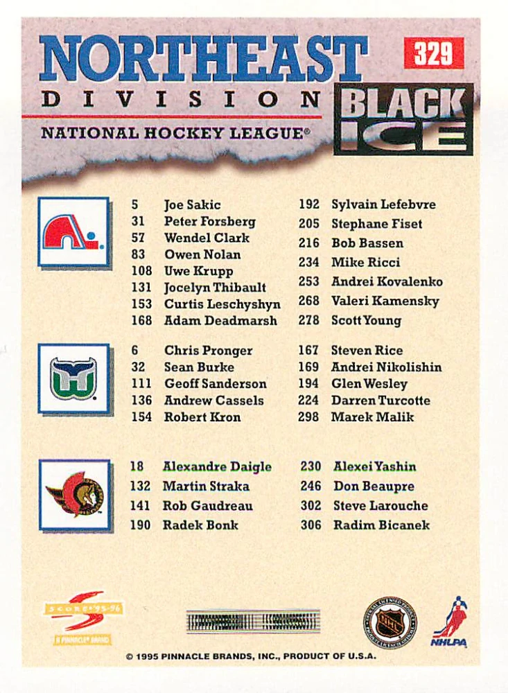 1995-96 Score - Northeast Division - Black Ice #329