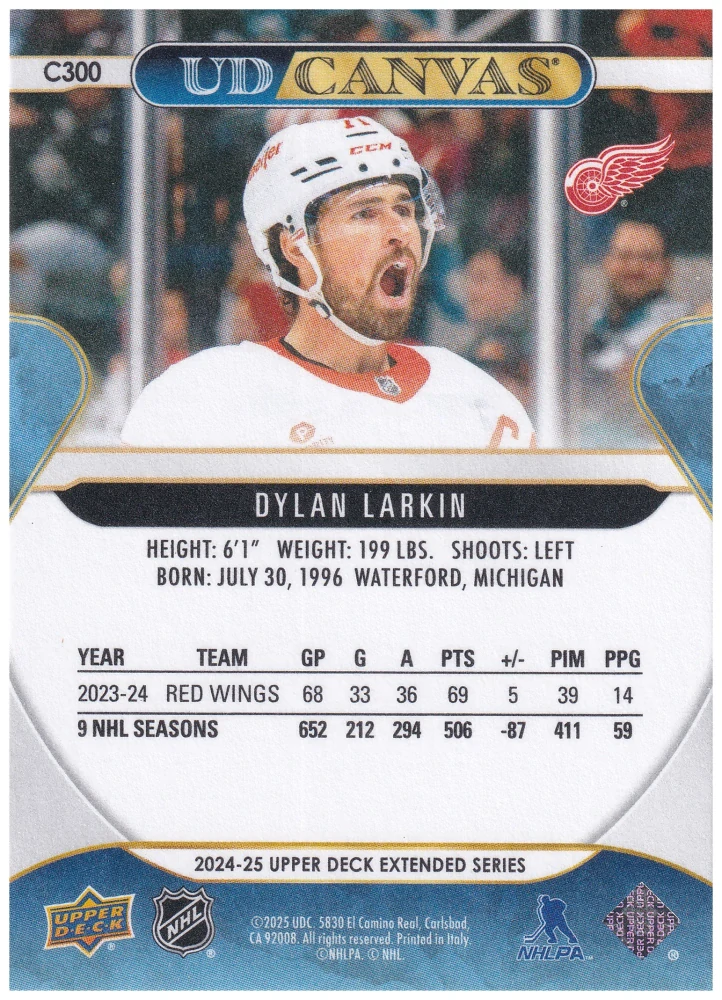 2024-25 UD Extended Series - Dylan Larkin - Canvas #C300