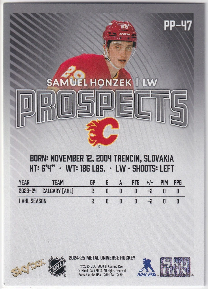 2024-25 UD Skybox Metal Universe - Samuel Honzek - Prospects #PP-47
