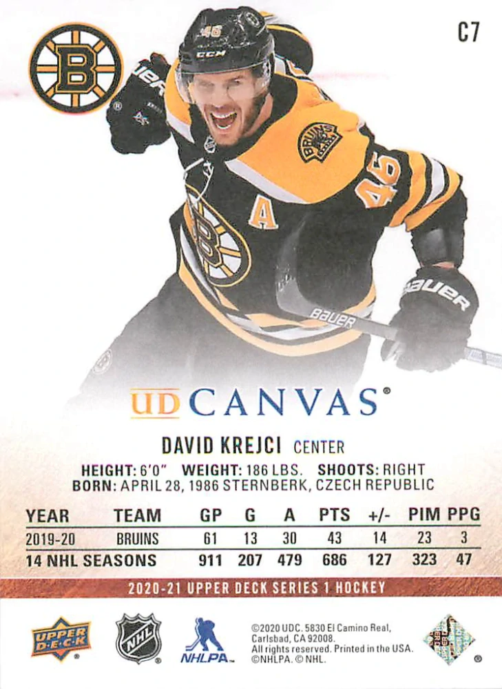 2020-21 UD Series 1 - David Krejčí - Canvas #C7