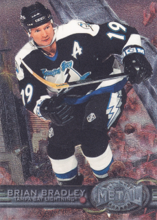 1996-97 Fleer Metal - Brian Bradley #142