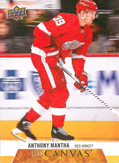 2020-21 UD Series 2 - Anthony Mantha - Canvas #C153