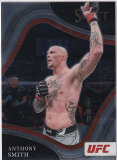 2022 Panini Select UFC - Anthony Smith - Octagonside