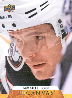 2020-21 UD Series 1 - Sam Steel - Canvas #C2