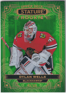 2022-23 UD Stature - Dylan Wells - Rookie Photo Variant Green /66