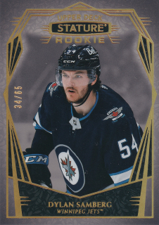2022-23 UD Stature - Dylan Samberg - Rookie Design Variant /65 #159