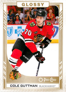 2023-24 UD Series 2 - Cole Guttman - O-Pee-Chee Glossy Gold #R-32