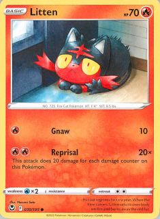 Litten #030