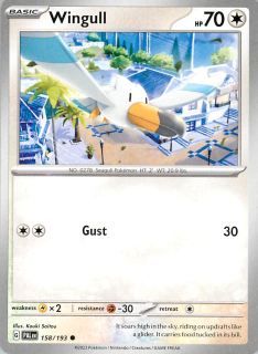 Wingull #158
