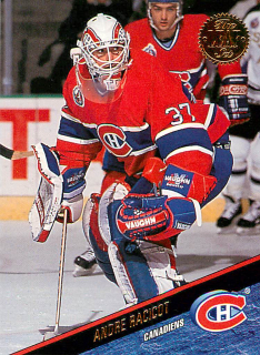 1993-94 Leaf - Andre Racicot #294