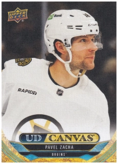 2024-25 UD Series 1 - Pavel Zacha - Canvas #C-45