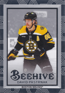2024-25 UD Extended Series - David Pastrňák - Beehive #BH-28