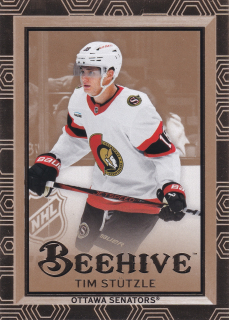 2024-25 UD Extended Series - Tim Stutzle - Beehive Gold #BH-29