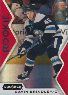 2024-25 UD Synergy - Gavin Brindley - Rookie #115