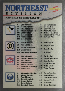 1995-96 Score - Northeast Division - Black Ice #329