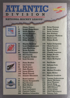 1995-96 Score - Atlantic Division - Black Ice #328