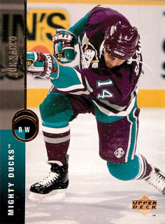 1994-95 UD Series 1 - Joe Sacco #166