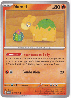 Numel #27