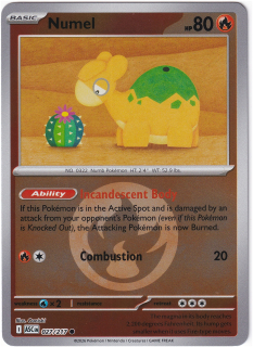 Numel #27