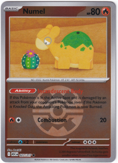 Numel #27