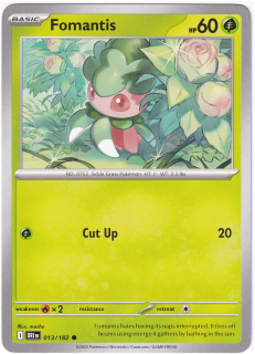 Fomantis #13