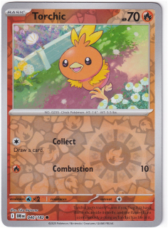 Torchic #40