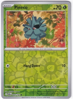 Pineco #4