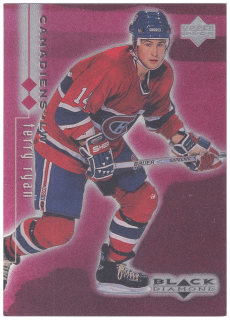 1998-99 UD Black Diamond - Terry Ryan - Double Diamond /2000 #45