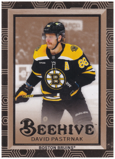 2024-25 UD Extended Series - David Pastrňák - Beehive Gold #BH-28
