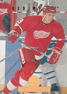 1994-95 Leaf - Jamie Pushor