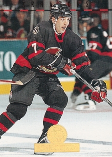 1994-95 Leaf - Dan Quinn