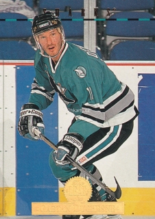 1994-95 Leaf - Gaetan Duchesne