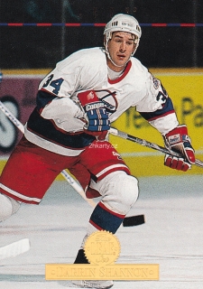 1994-95 Leaf - Darrin Shannon